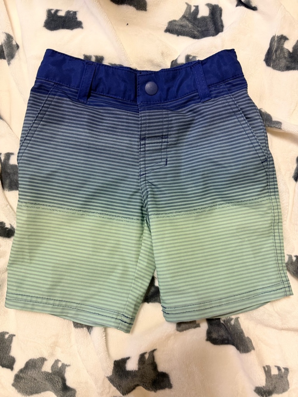 Size 4 art class Blue to Green Ombre Stripe Pull-On Shorts